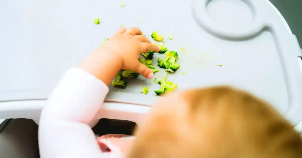 Bebê em Introdução Alimentar