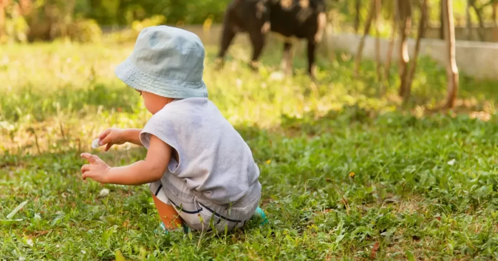 Aumentar a imunidade do bebê - Contato com a Natureza